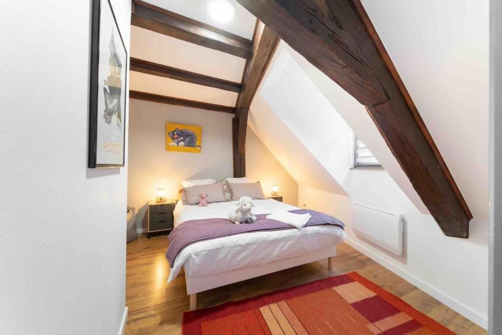 Les Lionceaux, 120M2 A Colmar, Place De Parking Gratuite Exteriér fotografie