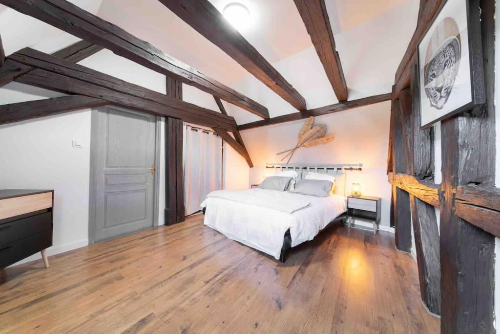 Les Lionceaux, 120M2 A Colmar, Place De Parking Gratuite Exteriér fotografie