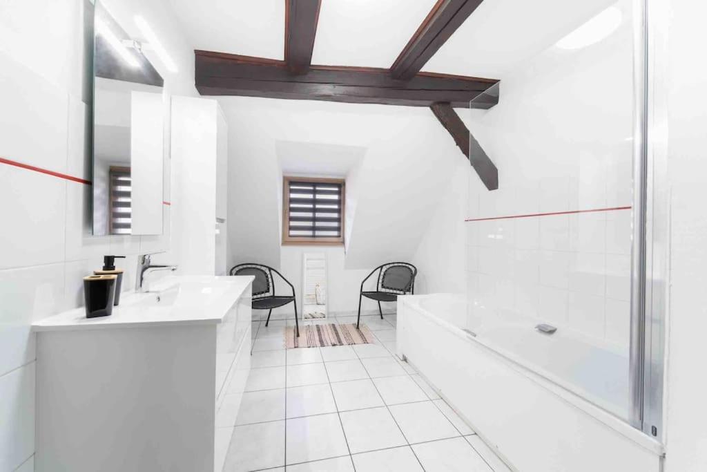 Les Lionceaux, 120M2 A Colmar, Place De Parking Gratuite Exteriér fotografie