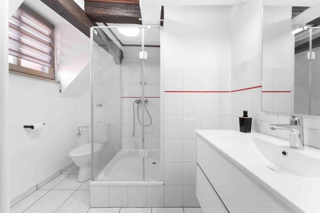 Les Lionceaux, 120M2 A Colmar, Place De Parking Gratuite Exteriér fotografie